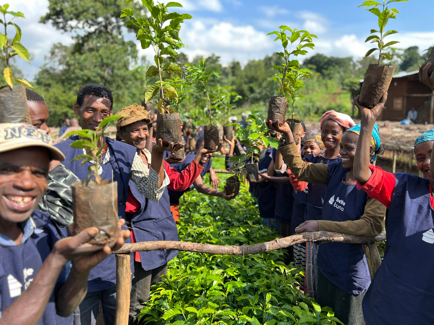 Great Expectations - 250g