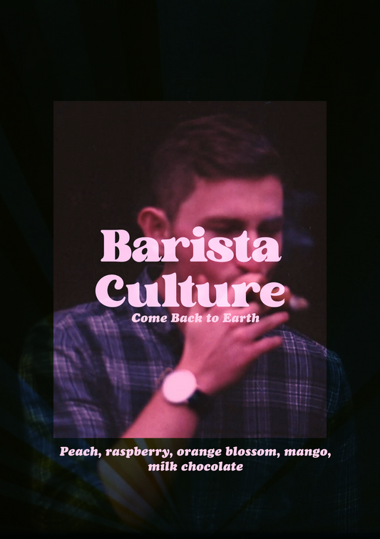 Coffee of the month - Come Back to Earth - 200g